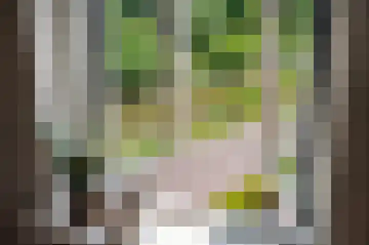 Lookwatering 4 Den Hoorn thumbnail 33