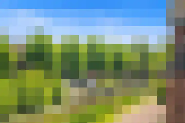 Lookwatering 4 Den Hoorn thumbnail 34