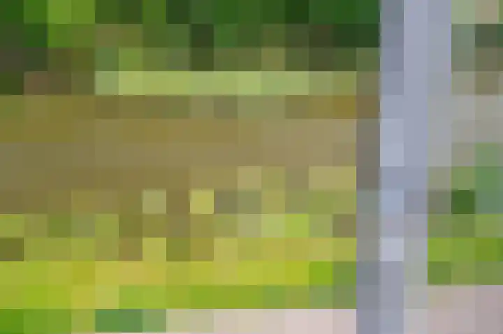 Lookwatering 4 Den Hoorn thumbnail 37
