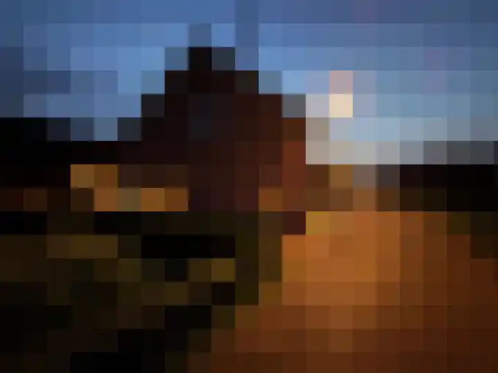 Lookwatering 4 Den Hoorn thumbnail 48