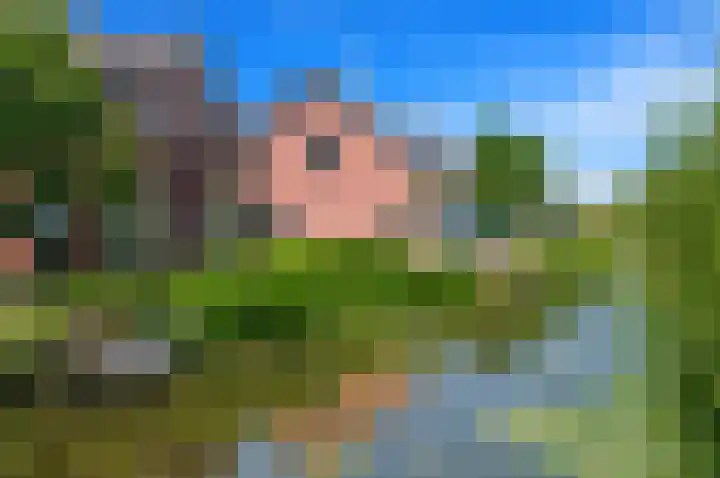 Lookwatering 4 Den Hoorn thumbnail 50