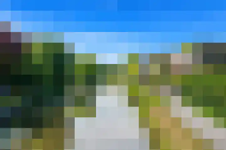 Lookwatering 4 Den Hoorn thumbnail 51