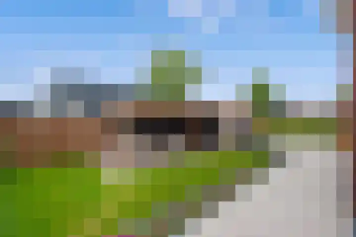 Lookwatering 55 a Den Hoorn thumbnail 19