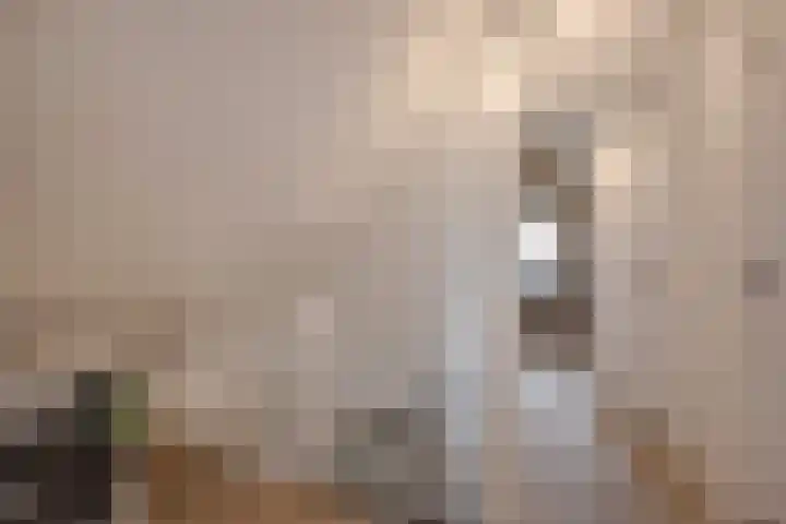 Lookwatering 55 a Den Hoorn thumbnail 42