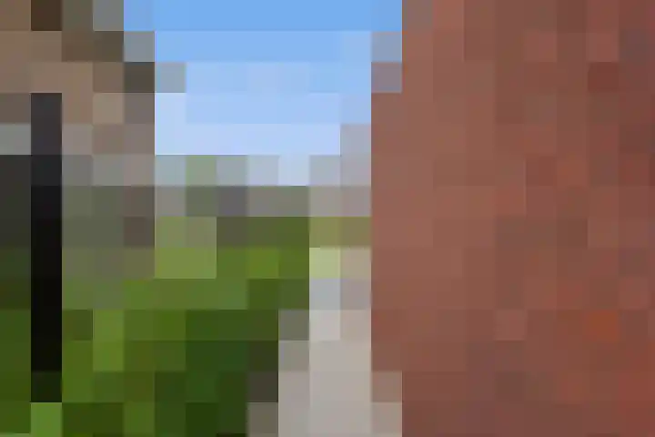 Lookwatering 55 a Den Hoorn thumbnail 5