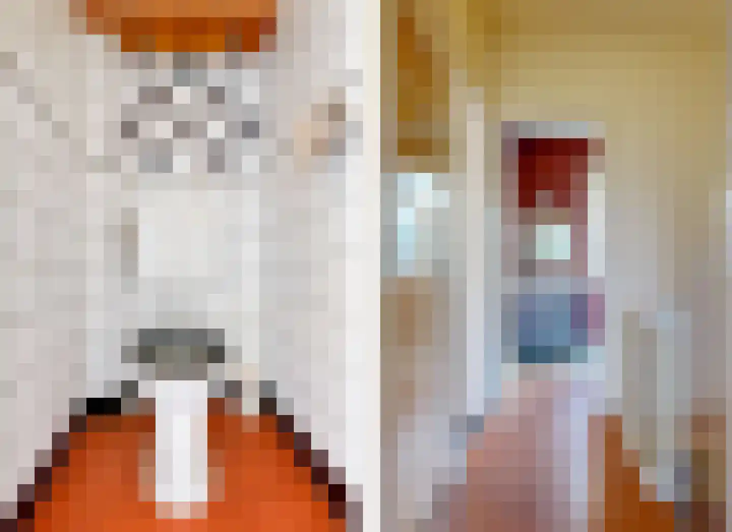 Loolaan 102 Voorburg thumbnail 21