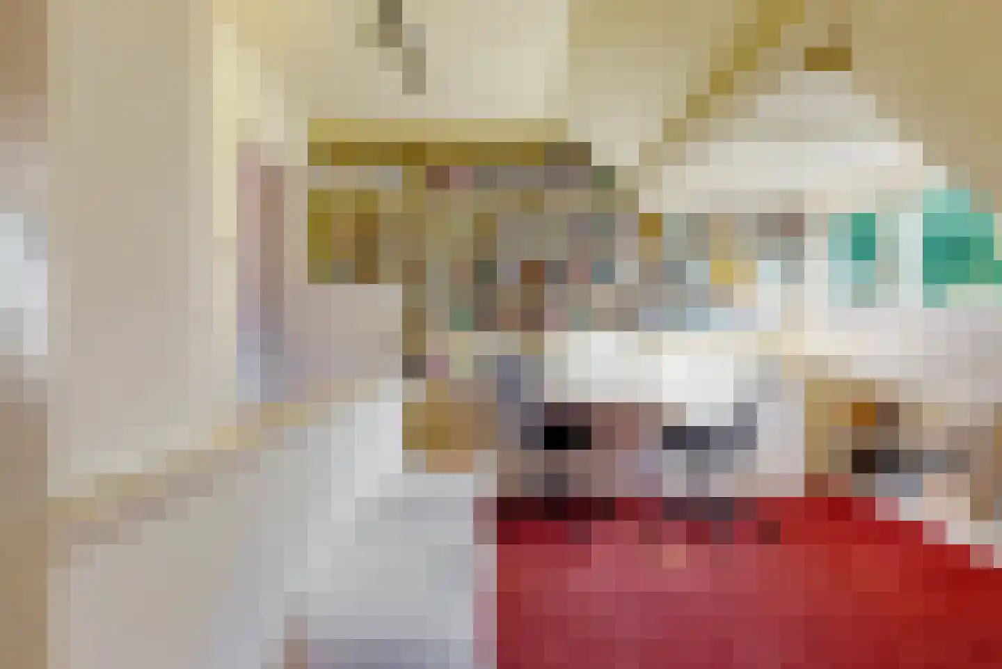 Loolaan 102 Voorburg thumbnail 29