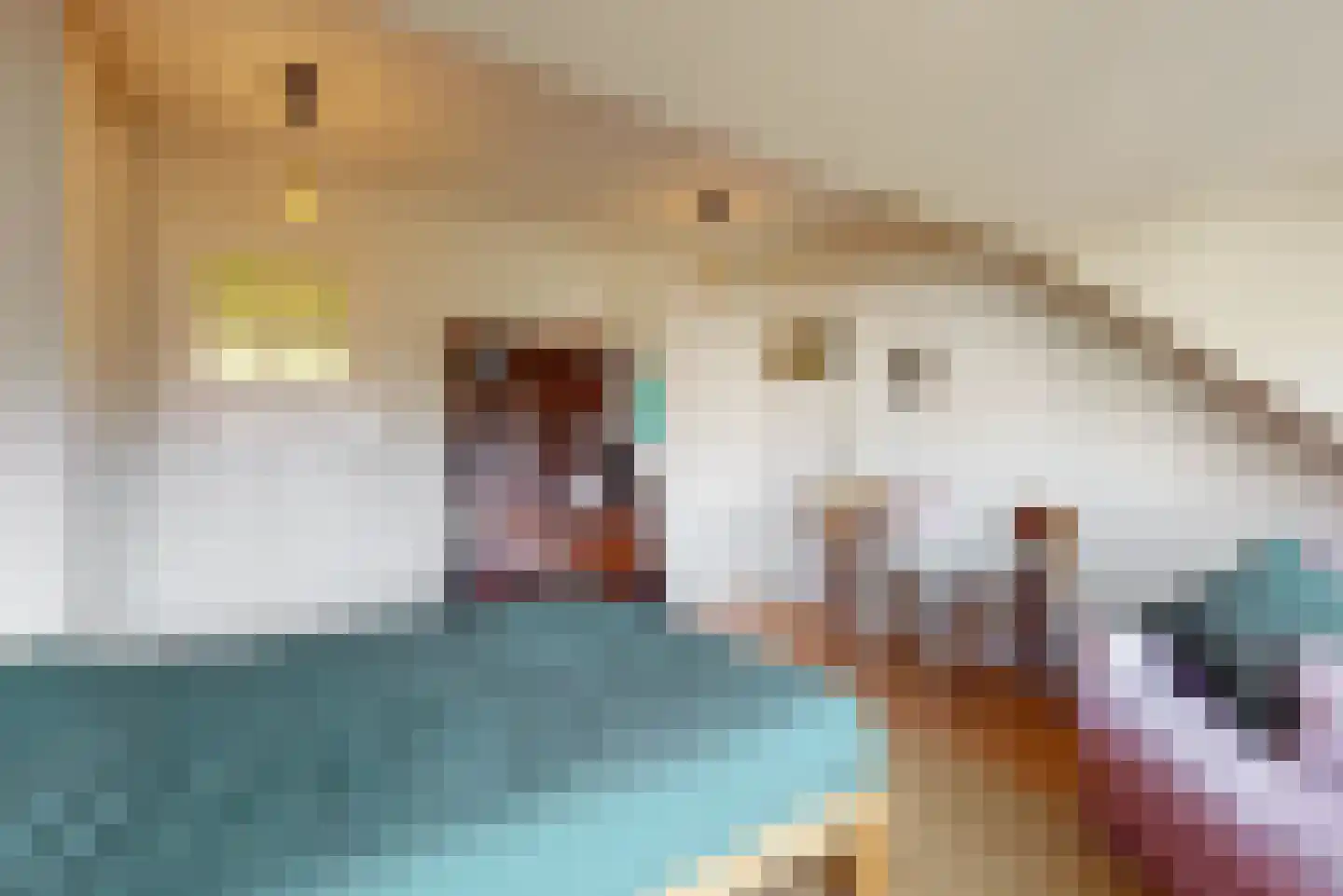 Loolaan 102 Voorburg thumbnail 31