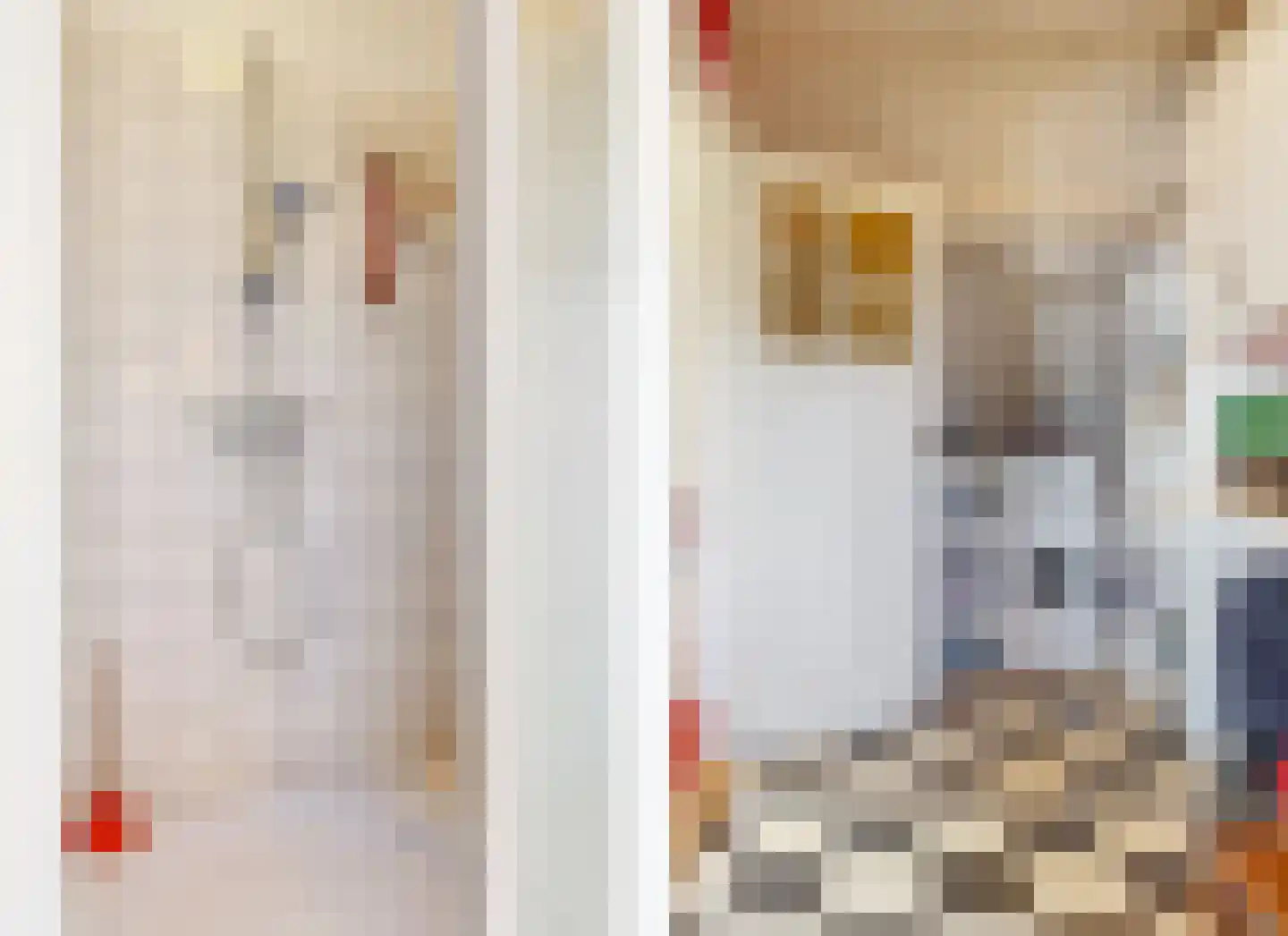 Loolaan 102 Voorburg thumbnail 34