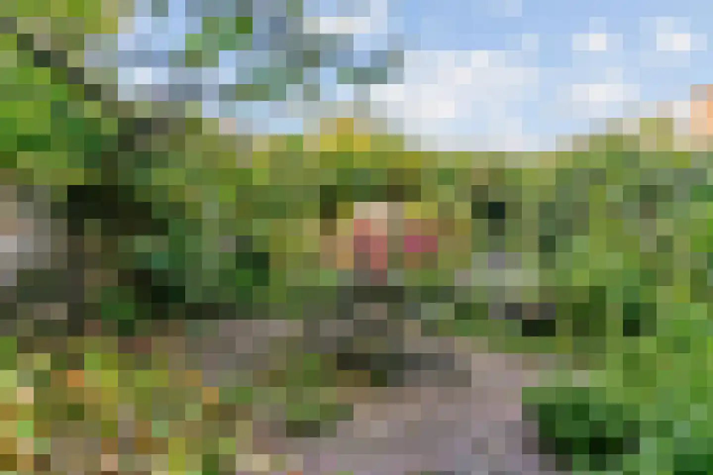 Loolaan 102 Voorburg thumbnail 35