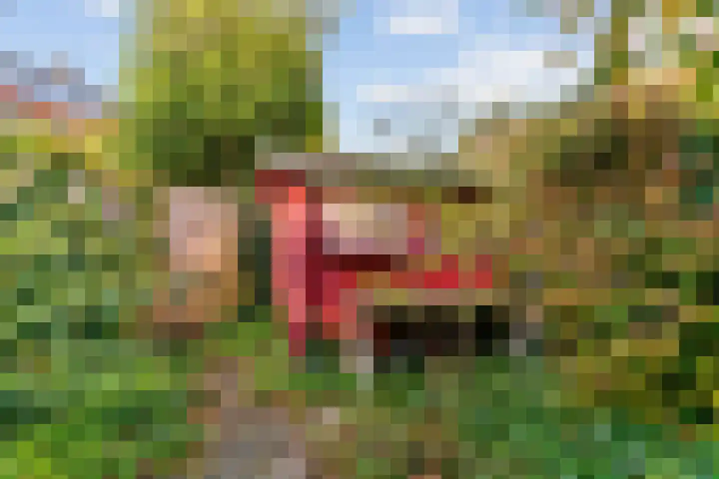 Loolaan 102 Voorburg thumbnail 36