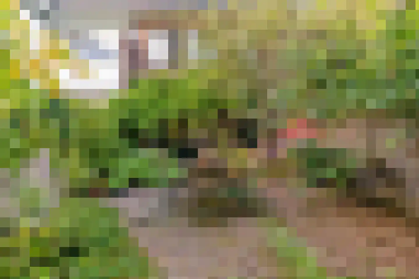 Loolaan 102 Voorburg thumbnail 37