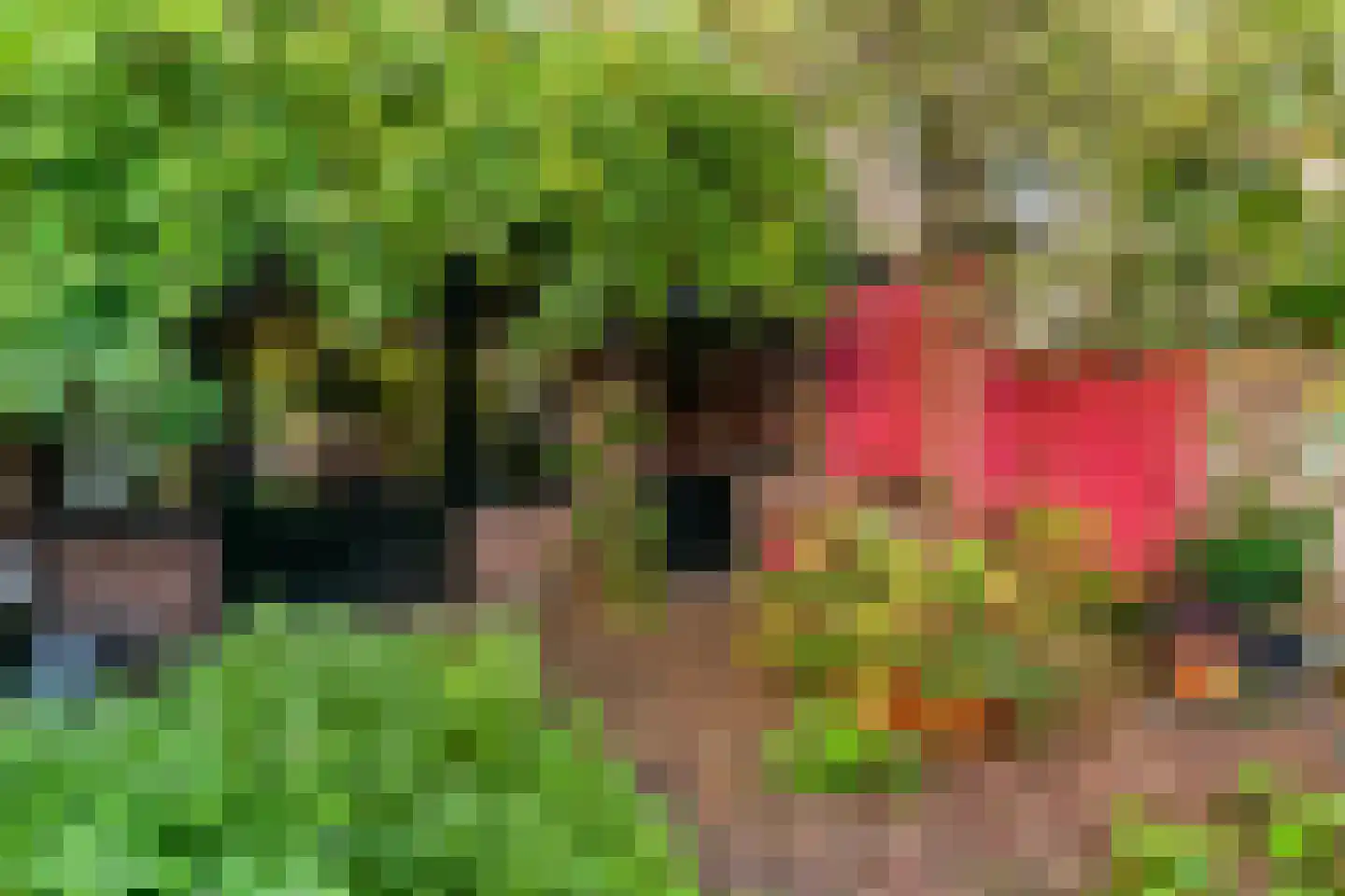 Loolaan 102 Voorburg thumbnail 38