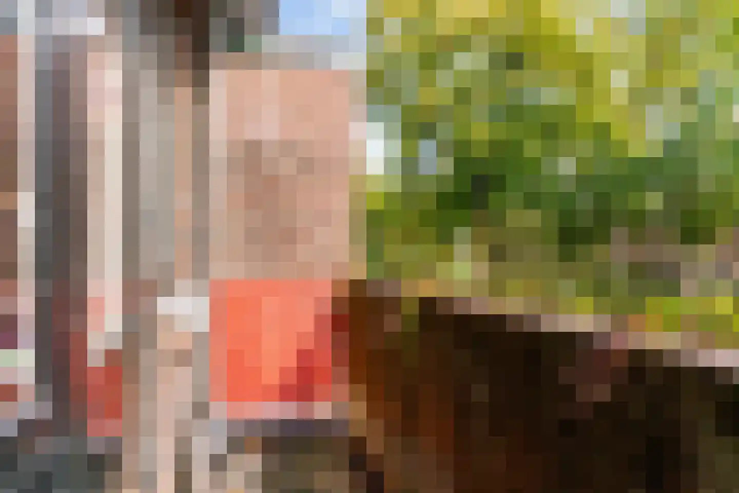 Loolaan 102 Voorburg thumbnail 39