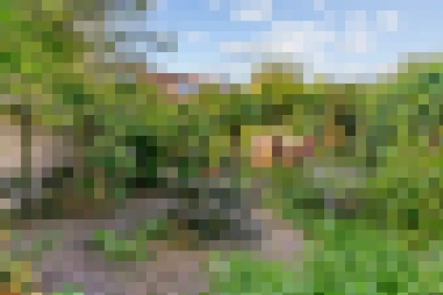 Loolaan 102 Voorburg thumbnail 5