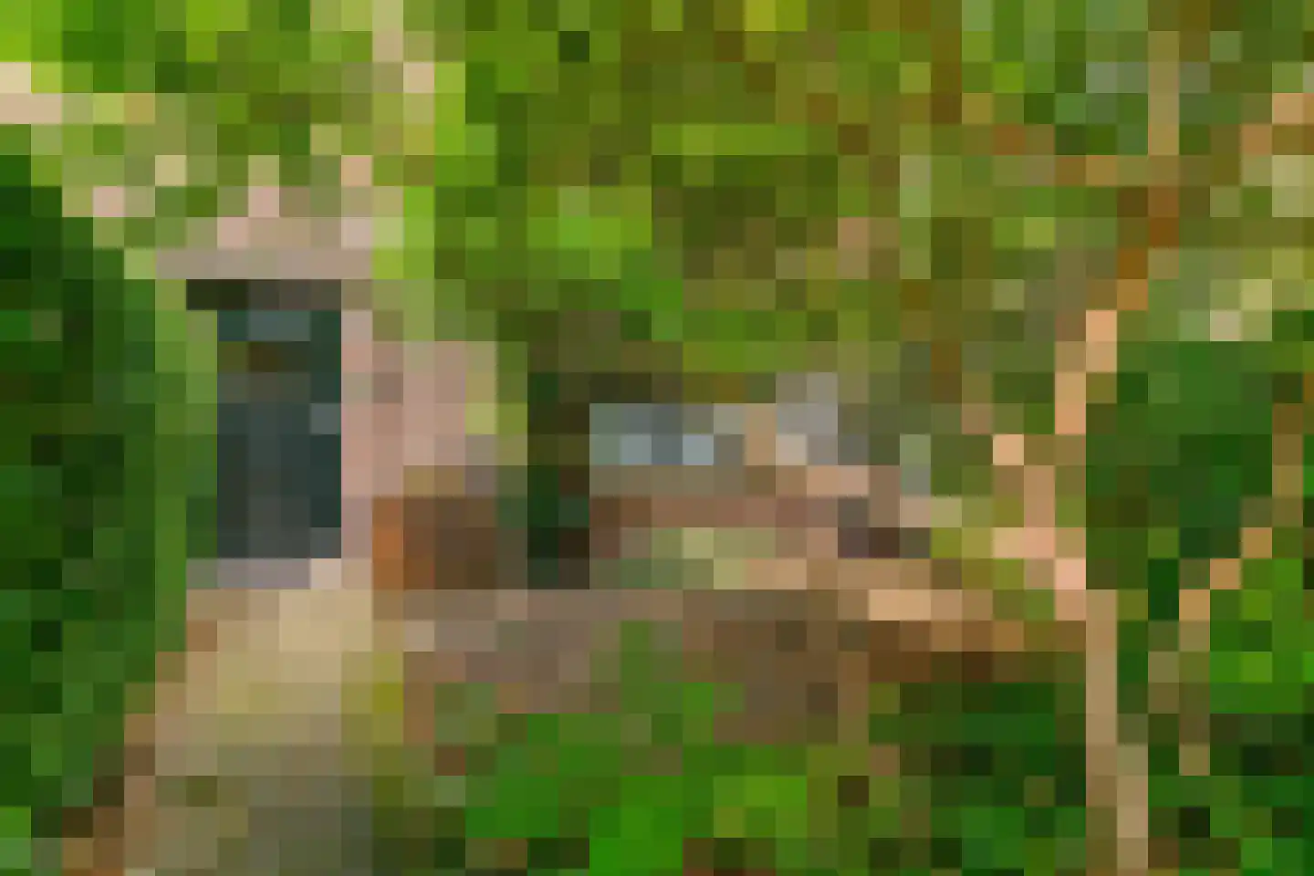 Loolaan 102 Voorburg thumbnail 8