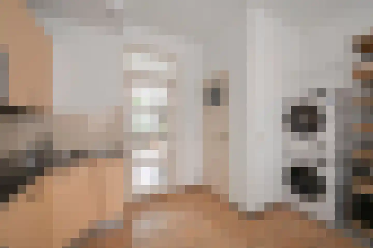 Loolaan 11 Voorburg thumbnail 18