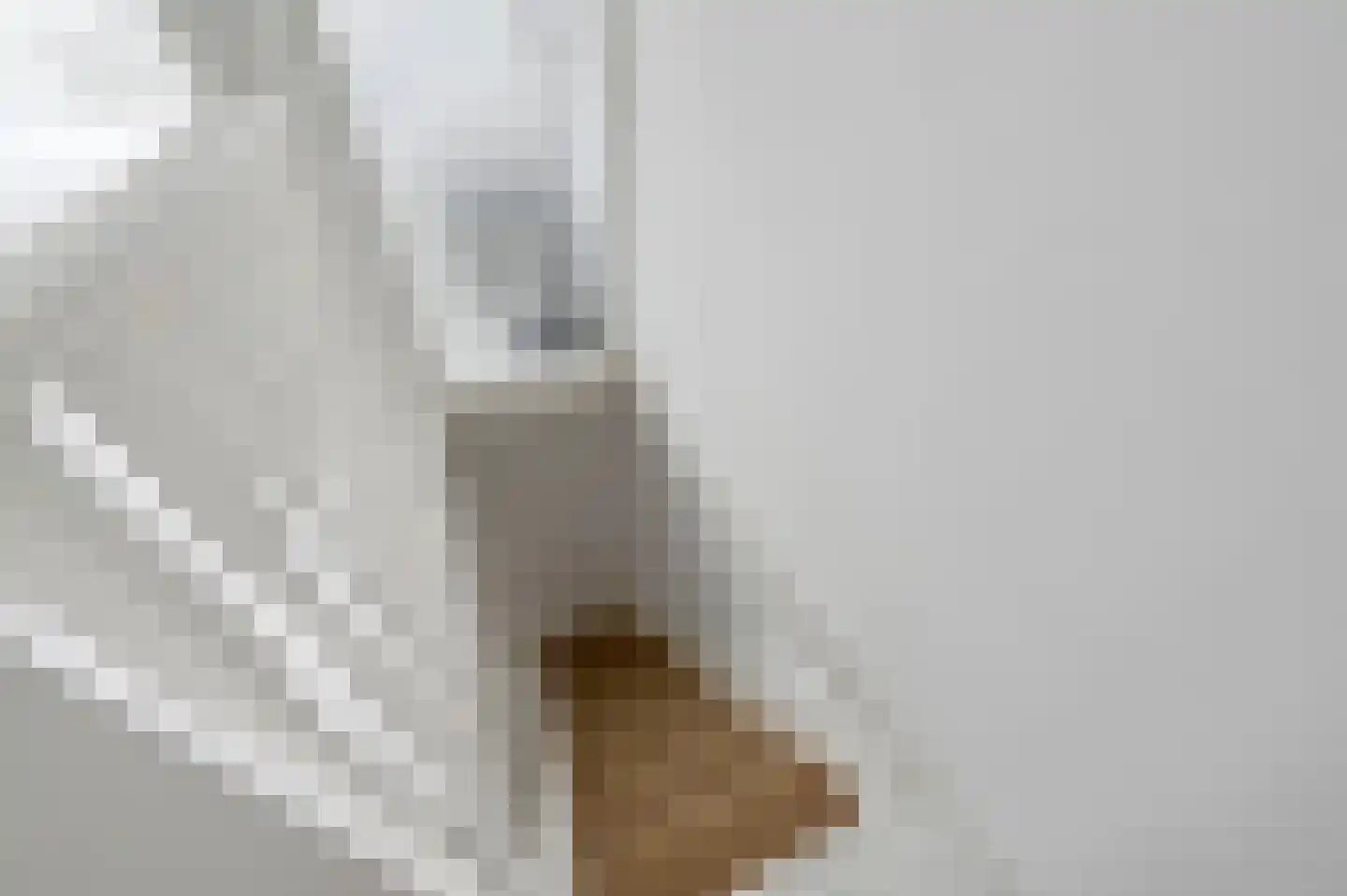 Loolaan 11 Voorburg thumbnail 20