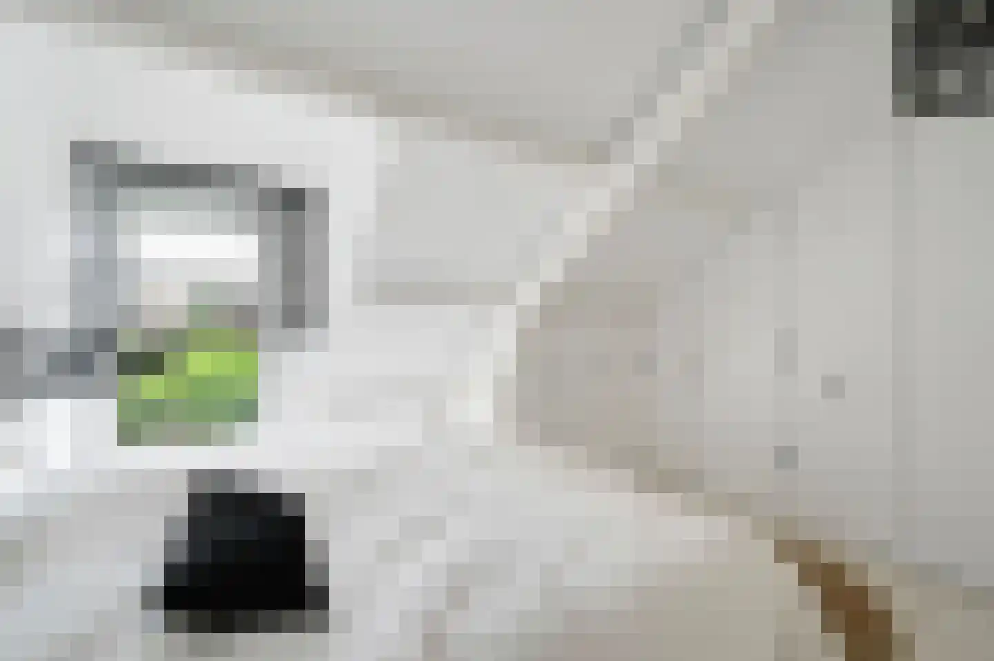 Loolaan 11 Voorburg thumbnail 24