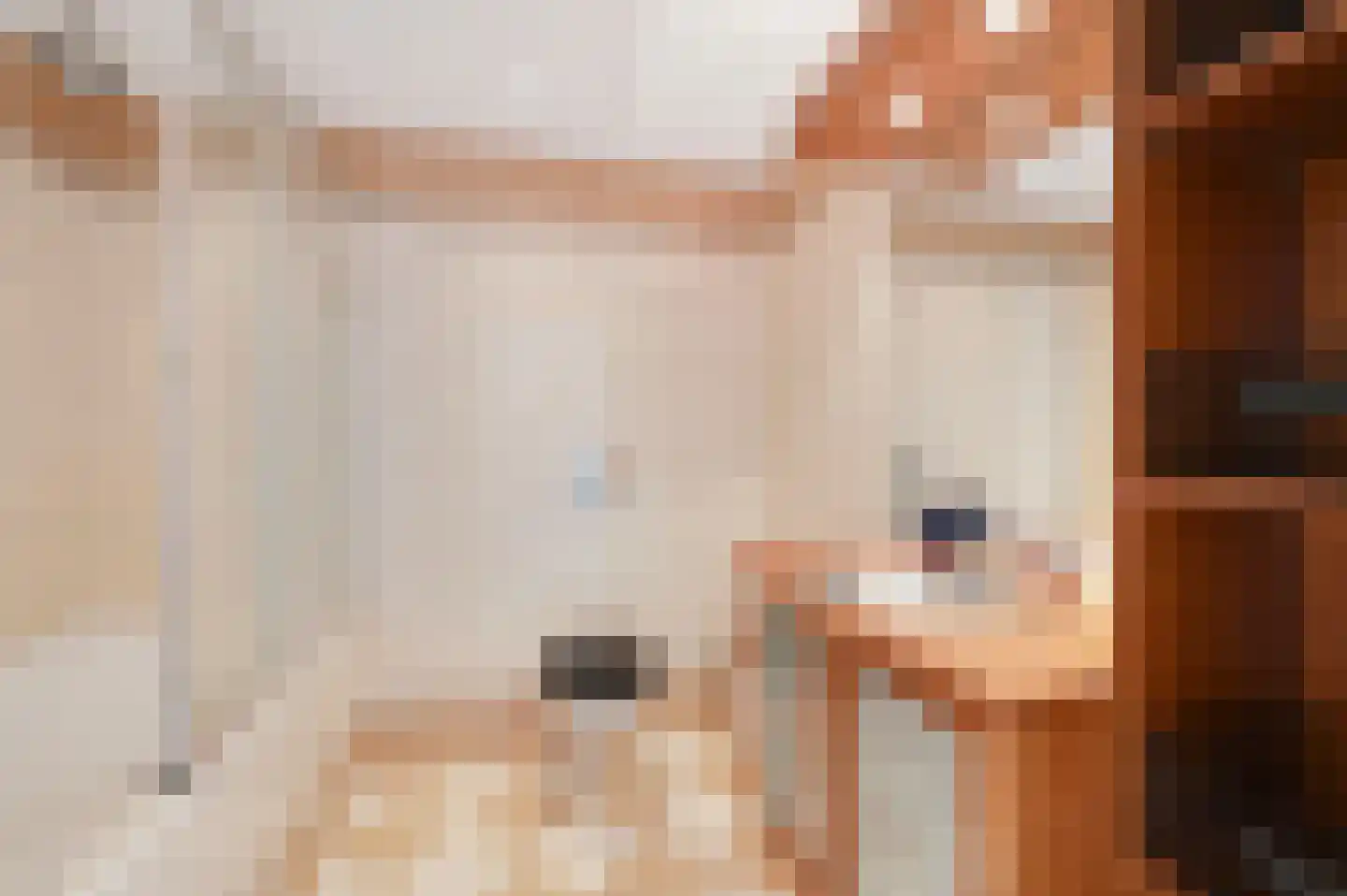 Loolaan 11 Voorburg thumbnail 28