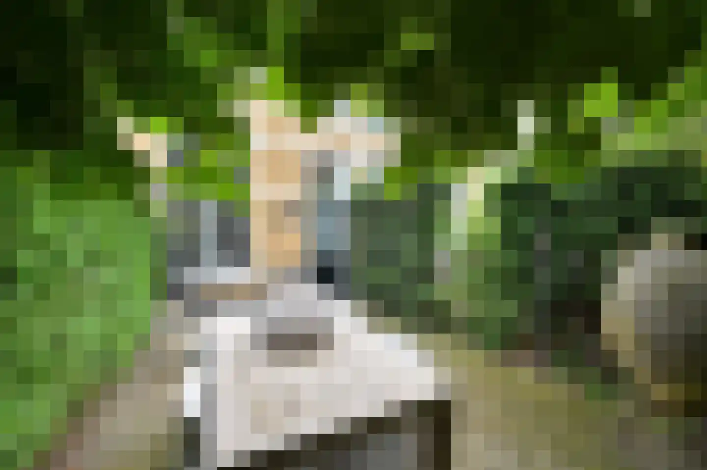 Loolaan 11 Voorburg thumbnail 4