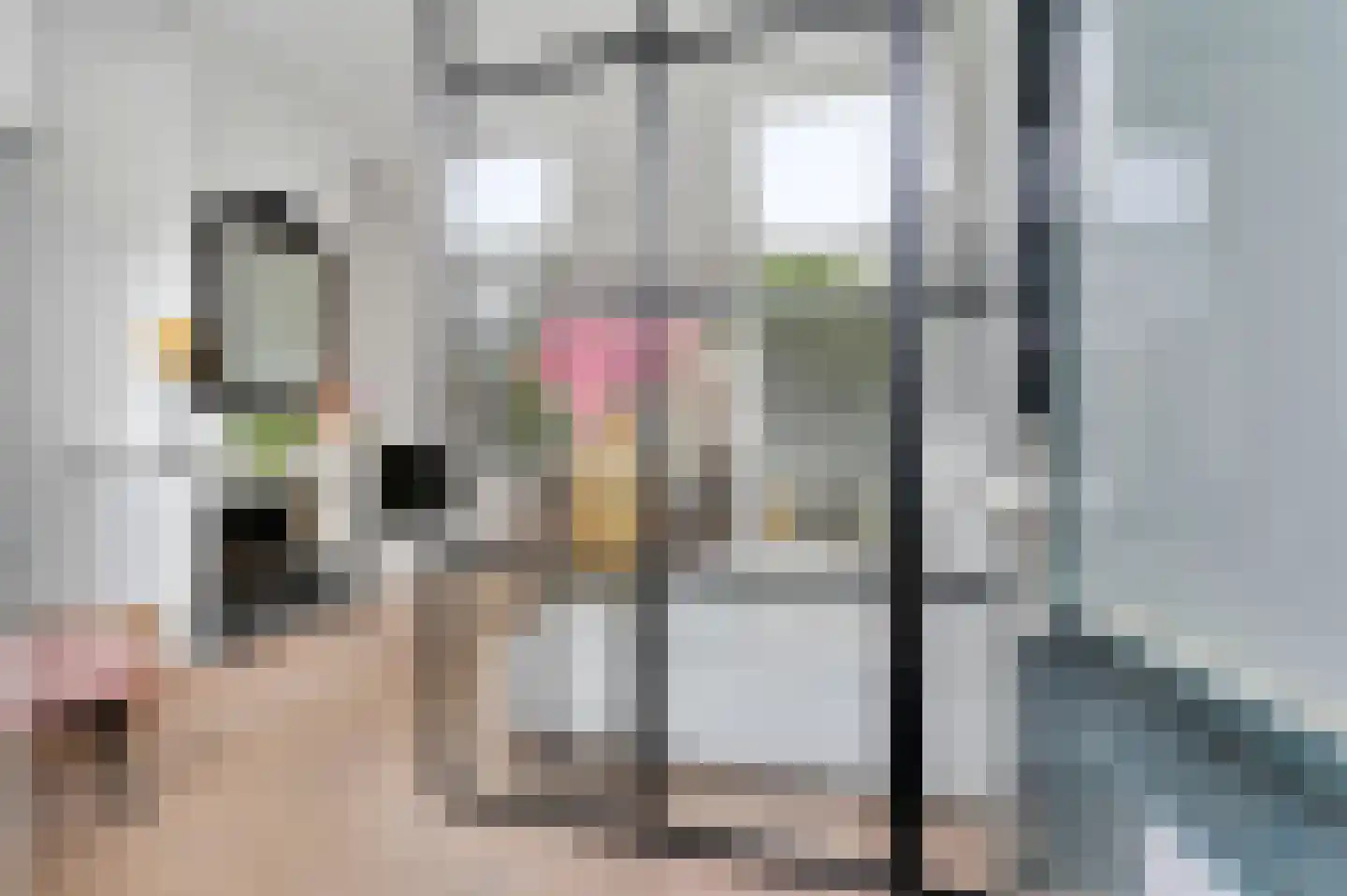 Loolaan 11 Voorburg thumbnail 7