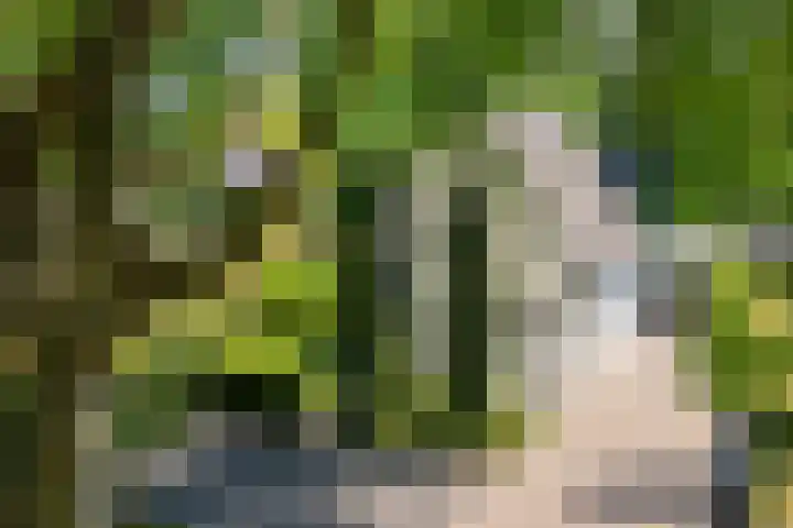 Loolaan 12 Doetinchem thumbnail 11