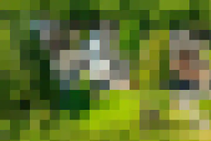 Loolaan 12 Doetinchem thumbnail 12
