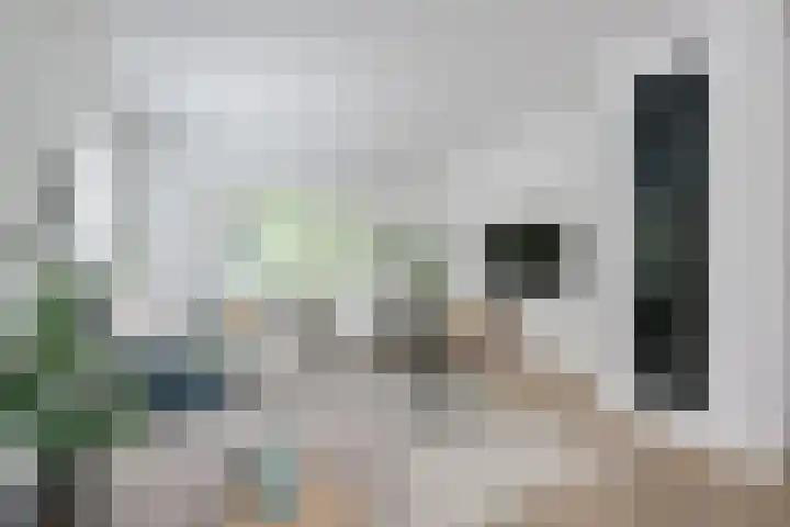 Loolaan 12 Doetinchem thumbnail 15