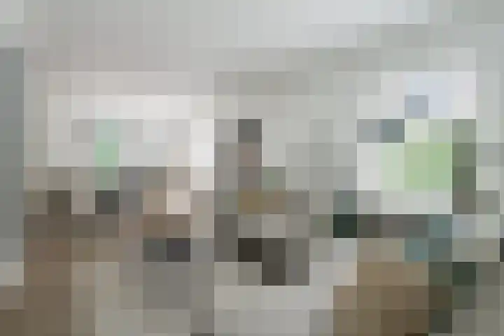 Loolaan 12 Doetinchem thumbnail 18