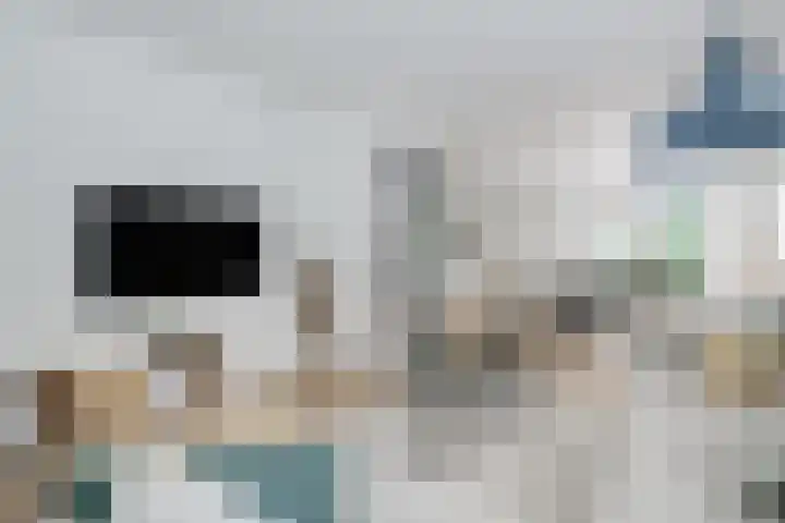 Loolaan 12 Doetinchem thumbnail 19