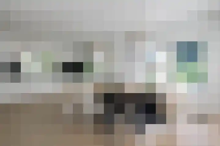 Loolaan 12 Doetinchem thumbnail 20