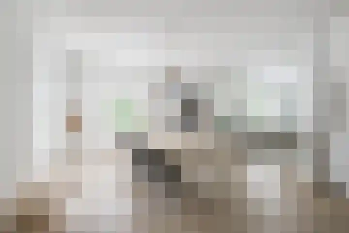 Loolaan 12 Doetinchem thumbnail 21