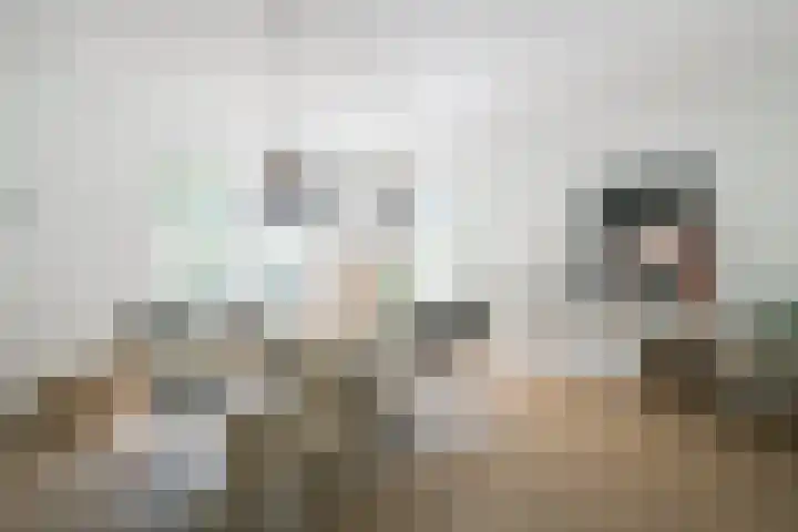 Loolaan 12 Doetinchem thumbnail 22