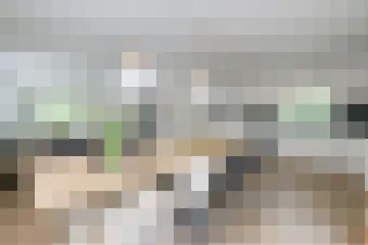 Loolaan 12 Doetinchem thumbnail 24