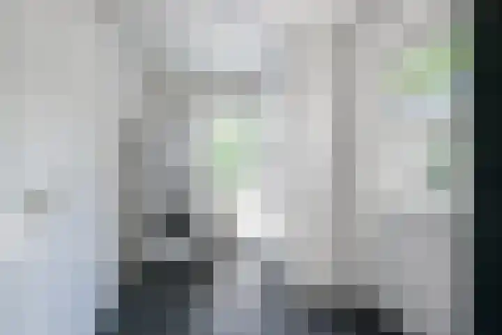 Loolaan 12 Doetinchem thumbnail 29
