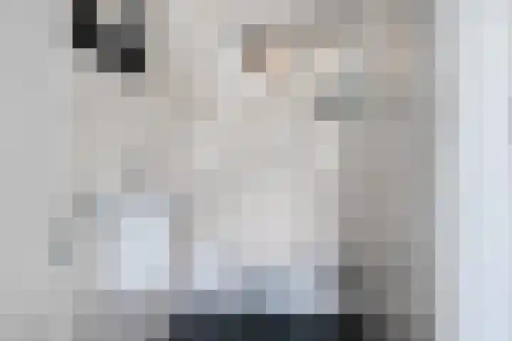 Loolaan 12 Doetinchem thumbnail 30