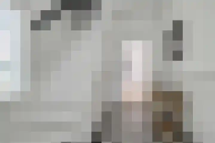 Loolaan 12 Doetinchem thumbnail 35