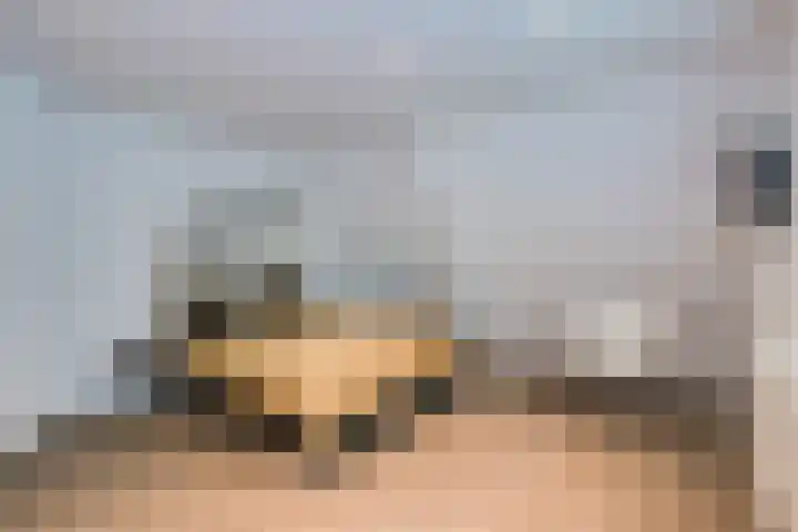 Loolaan 12 Doetinchem thumbnail 36