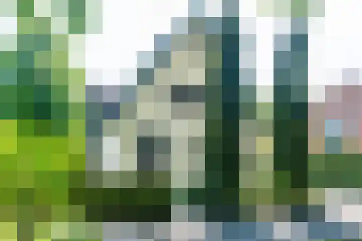 Loolaan 12 Doetinchem thumbnail 4
