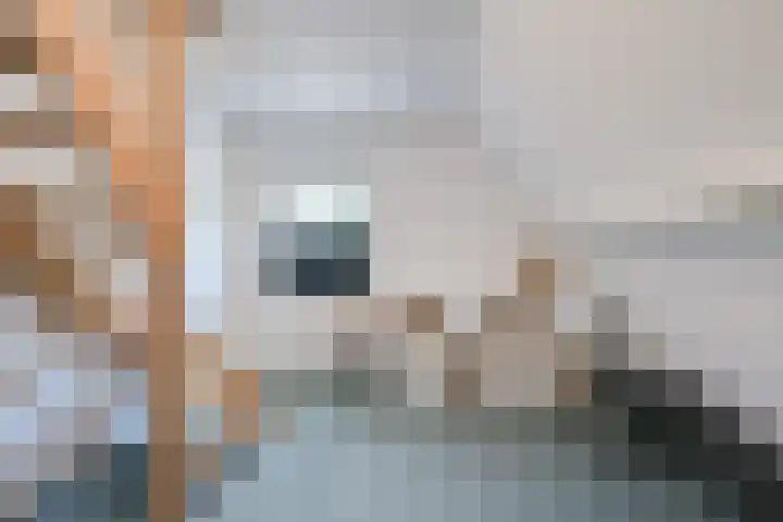 Loolaan 12 Doetinchem thumbnail 41