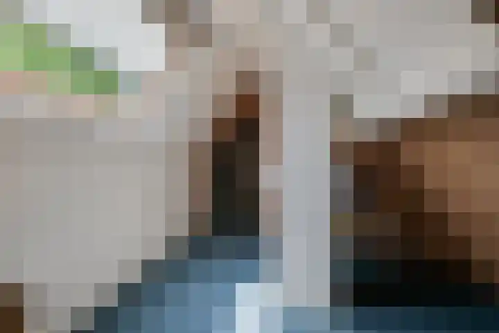 Loolaan 12 Doetinchem thumbnail 42