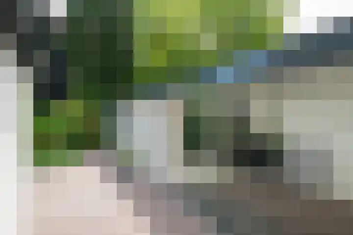 Loolaan 12 Doetinchem thumbnail 46