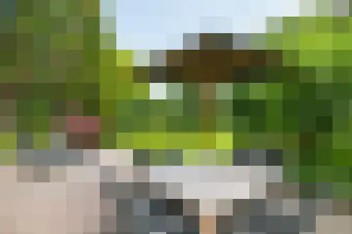 Loolaan 12 Doetinchem thumbnail 48