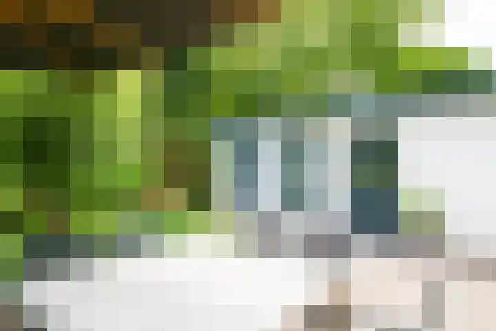 Loolaan 12 Doetinchem thumbnail 49