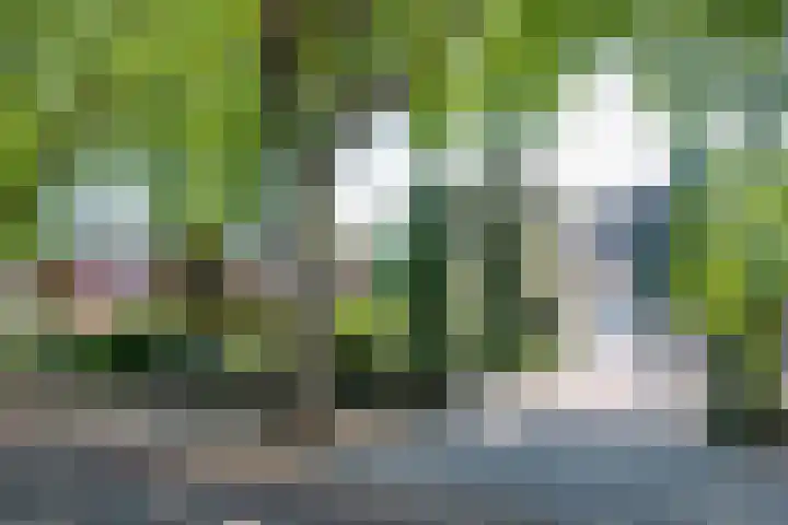 Loolaan 12 Doetinchem thumbnail 5