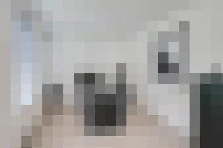 Loolaan 12 Doetinchem thumbnail 50