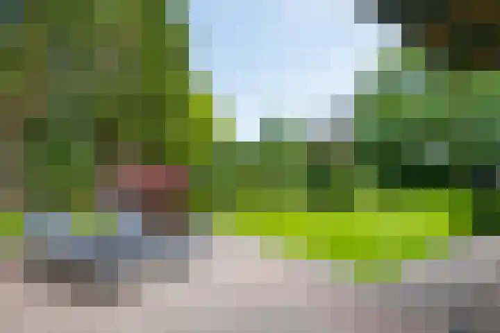Loolaan 12 Doetinchem thumbnail 53