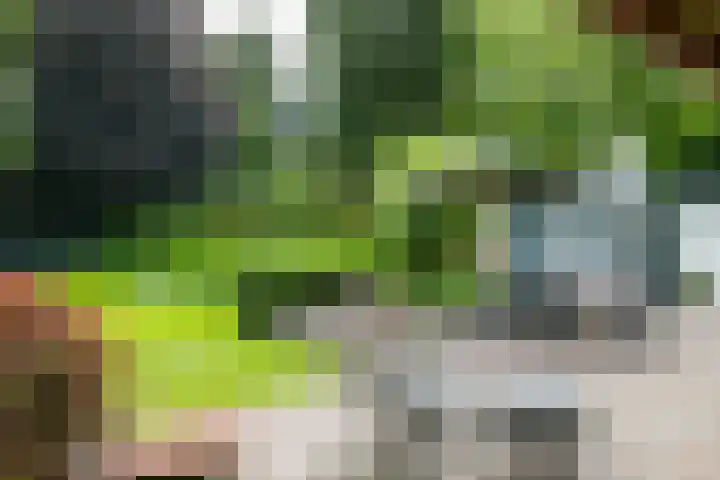 Loolaan 12 Doetinchem thumbnail 54
