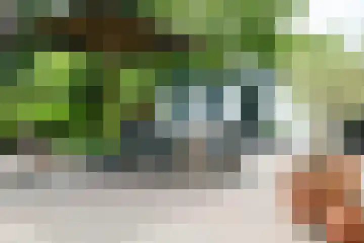 Loolaan 12 Doetinchem thumbnail 56
